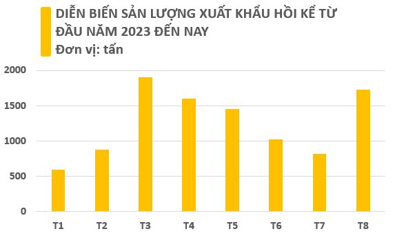Việt Nam sở hữu &quot;viên ngọc quý hiếm&quot; được cả Mỹ, Trung Quốc và Ấn Độ săn lùng: Xuất khẩu tăng hơn 100% trong tháng 8, Việt Nam đứng thứ 2 thế giới về sản lượng - Ảnh 2.