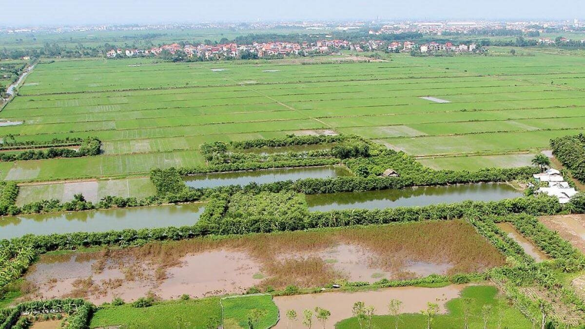 Siêu lợi nhuận từ đầu tư đất nông nghiệp: “Có thể tăng giá hàng trăm lần trong 10 năm?” - Ảnh 1.