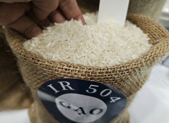 Giá gạo xuất khẩu giảm 35 USD/tấn - Ảnh 1.