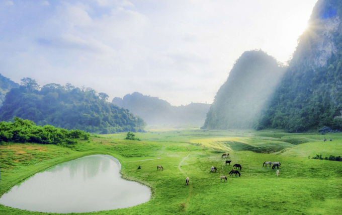 Phát hiện thảo nguyên xanh chỉ cách Hà Nội 2 giờ chạy xe, du khách nhận xét như “Mông Cổ thu nhỏ” - Ảnh 3.