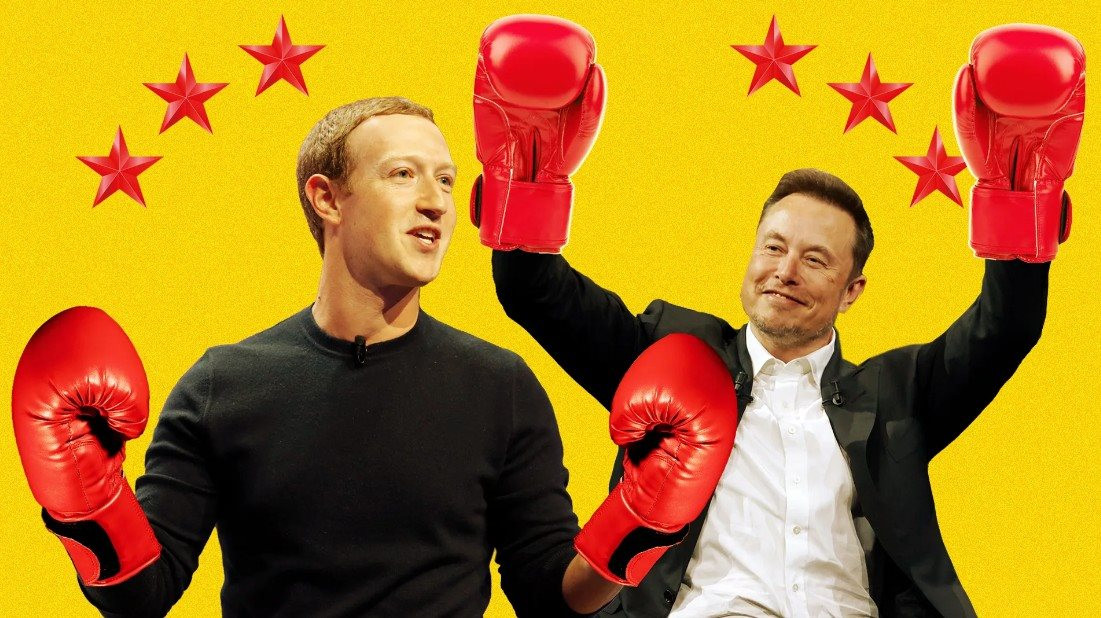 Mark Zuckerberg: Tôi cần tìm người đánh nhau cho dù có là Elon Musk hay ai khác! - Ảnh 1.