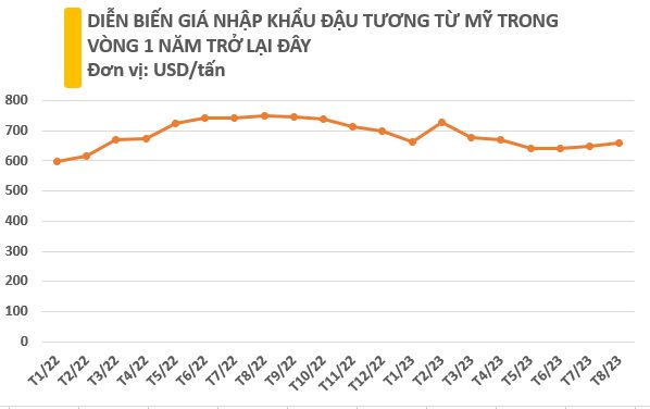 Giá liên tục lao dốc, một loại hạt từ Mỹ đổ bộ Việt Nam trong 8 tháng đầu năm, Việt Nam nhập khẩu đứng thứ 3 trên thế giới - Ảnh 3.