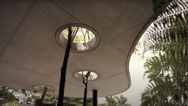 Vợ chồng làm khu vườn nhiệt đới ngay giữa nhà, độc đáo đến độ từng nhận giải thưởng kiến trúc - Ảnh 3.