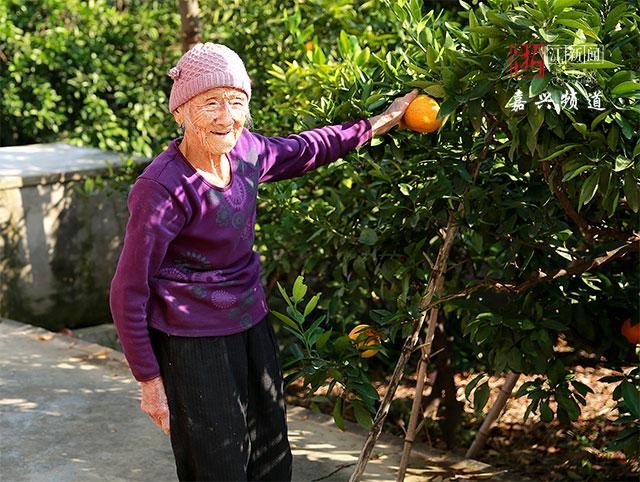 Cụ bà 104 tuổi nhưng vẫn minh mẫn, ra đồng làm ruộng như người trẻ: Bí quyết không phải tập thể dục mà nhờ 3 thói quen từ ngày trẻ - Ảnh 3.