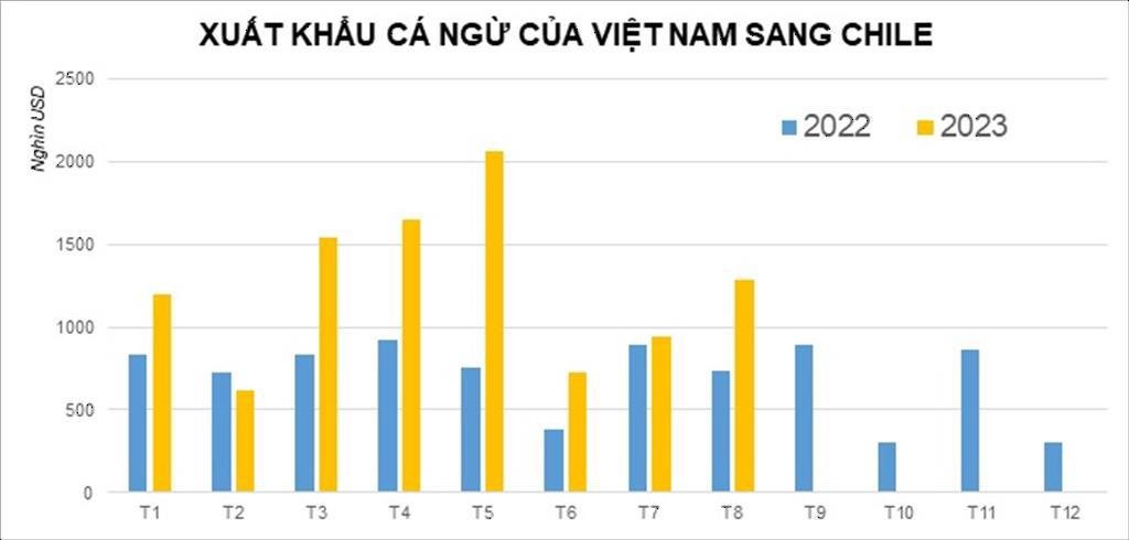 Một mặt hàng của Việt Nam đang liên tục tràn vào Chile: người dân cực kỳ ưa chuộng, xuất khẩu tăng mạnh trong 8 tháng đầu năm - Ảnh 1.