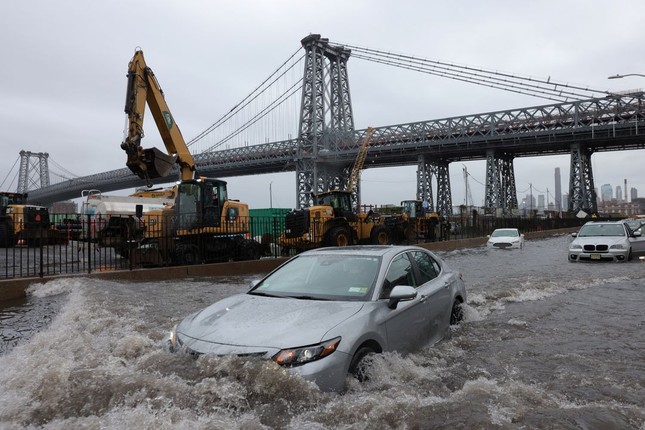 New York: Mưa lớn gây ngập lụt diện rộng, sư tử biển xổng chuồng trong sở thú - Ảnh 3.
