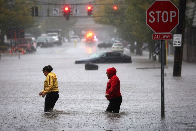 New York: Mưa lớn gây ngập lụt diện rộng, sư tử biển xổng chuồng trong sở thú - Ảnh 5.