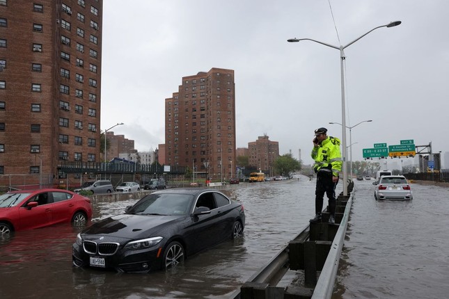 New York: Mưa lớn gây ngập lụt diện rộng, sư tử biển xổng chuồng trong sở thú - Ảnh 7.