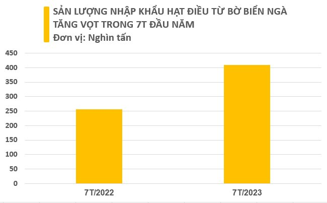 Một loại hạt giá rẻ từ Bờ Biển Ngà đang đổ bộ Việt Nam dù nước ta xuất khẩu đứng đầu thế giới, sản lượng trong 7 tháng bằng cả năm 2022 cộng lại - Ảnh 2.