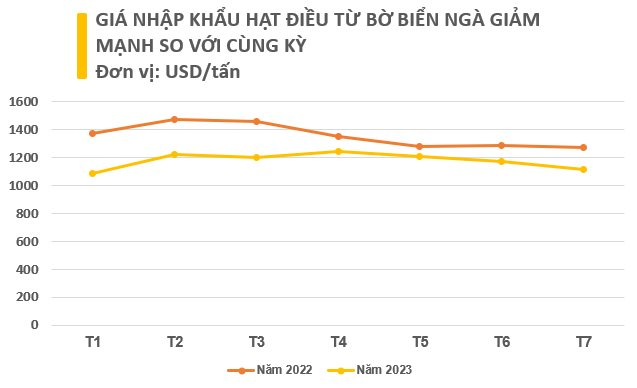 Một loại hạt giá rẻ từ Bờ Biển Ngà đang đổ bộ Việt Nam dù nước ta xuất khẩu đứng đầu thế giới, sản lượng trong 7 tháng bằng cả năm 2022 cộng lại - Ảnh 3.