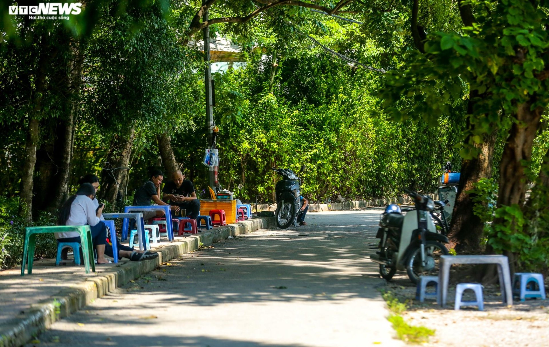 Hà Nội: Hiện trạng Công viên Tuổi trẻ sau hơn 3 tháng tháo dỡ công trình vi phạm - Ảnh 10.