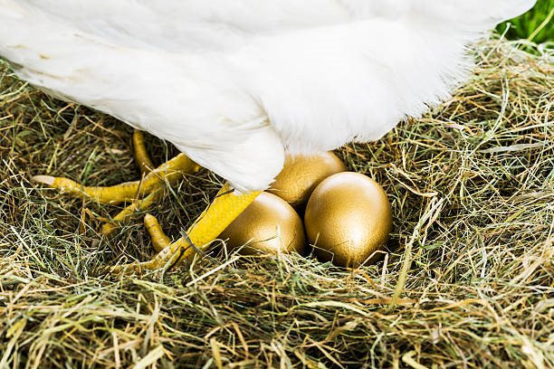 ‘Gà đẻ trứng vàng’ giúp Việt Nam kiếm gần 40 tỷ USD trong 8 tháng, cả năm ngoái thu hơn 55 tỷ USD - Ảnh 1.
