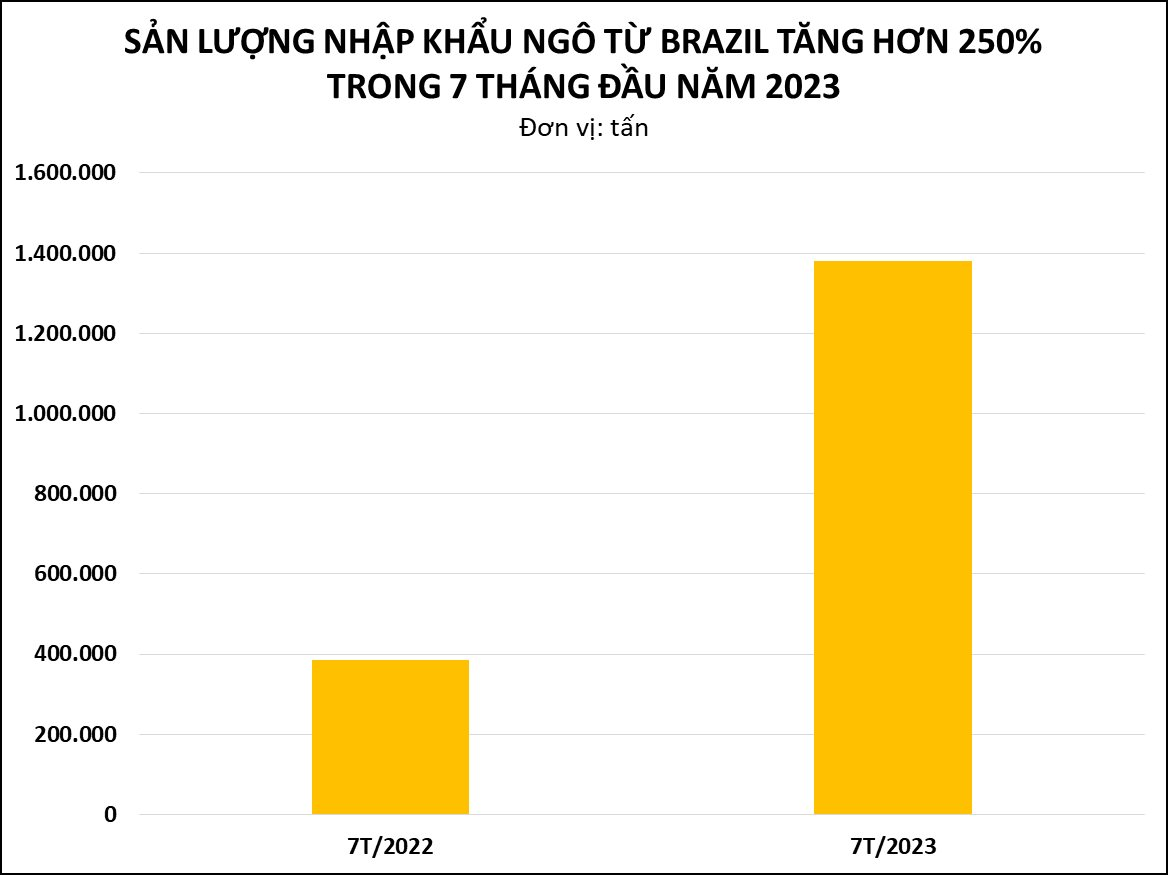 Mỹ đang đánh mất 'ngôi vương' xuất khẩu ngô vào tay một quốc gia Nam Mỹ: là nhà cung cấp số 1 mà Việt Nam đã tăng mua gần 300% trong 7 tháng đầu năm 2023 - Ảnh 2.