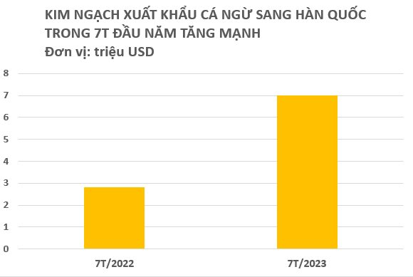 Một mặt hàng giá rẻ của Việt Nam đang đổ bộ vào Hàn Quốc: Được người dân cực kỳ ưa chuộng, xuất khẩu tăng mạnh trong 7 tháng đầu năm - Ảnh 2.