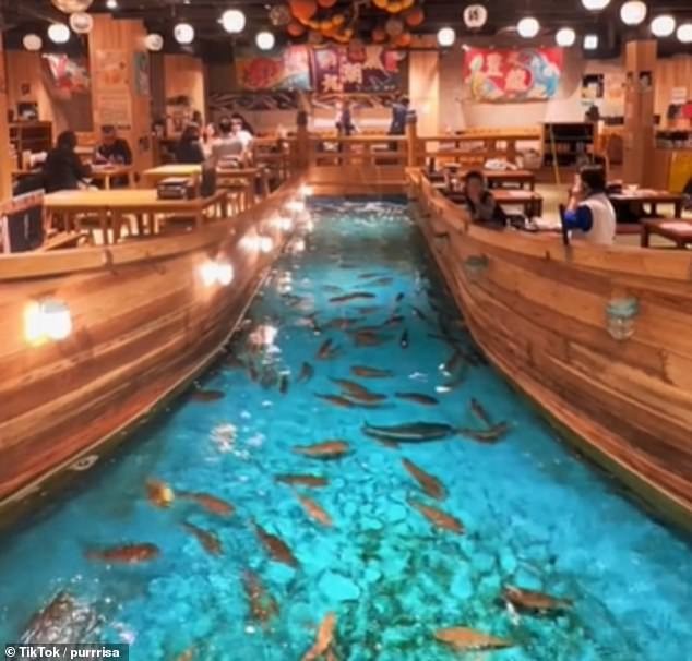 Nhà hàng Nhật Bản hút khách nhờ chiêu độc: Cho khách đánh bắt tôm cá lên ăn tại bàn - Ảnh 2.