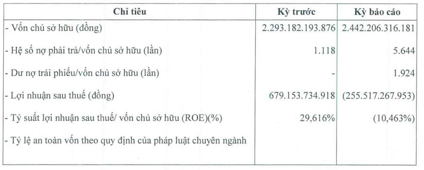 DN bất động sản mới phát hành 4.700 tỷ trái phiếu bất ngờ báo lỗ 255 tỷ trong khi cùng kỳ lãi lớn - Ảnh 1.