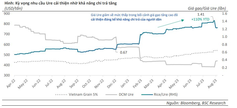 Cổ phiếu phân bón đồng loạt tăng kịch trần sau tin Trung Quốc tạm dừng xuất khẩu phân urê - Ảnh 5.