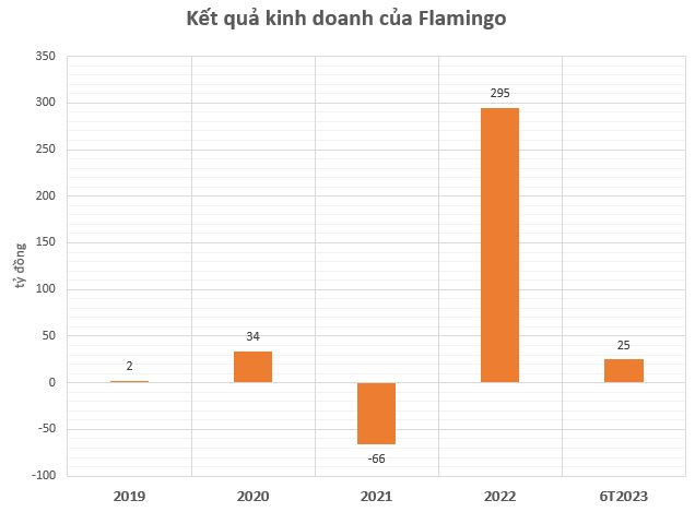 Chủ dự án Flamingo Đại Lải, Cát Bà báo lợi nhuận nửa đầu năm 2023 giảm 82% - Ảnh 1.