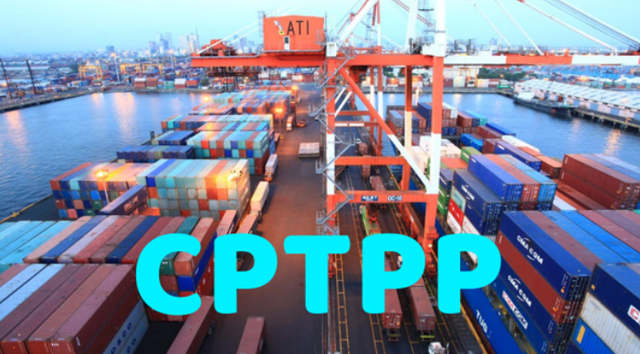 Bổ sung 3 nước được áp dụng thuế xuất nhập khẩu ưu đãi theo Hiệp định CPTPP - Ảnh 1.
