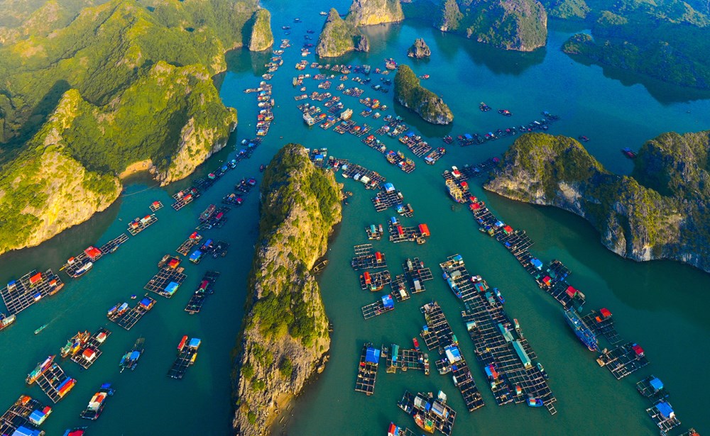 Hải Phòng sẽ thành lập thành phố thuộc thành phố tại huyện Thủy Nguyên - Ảnh 3. Hải Phòng sẽ thành lập thành phố thuộc thành phố tại huyện Thủy Nguyên - Ảnh 3.