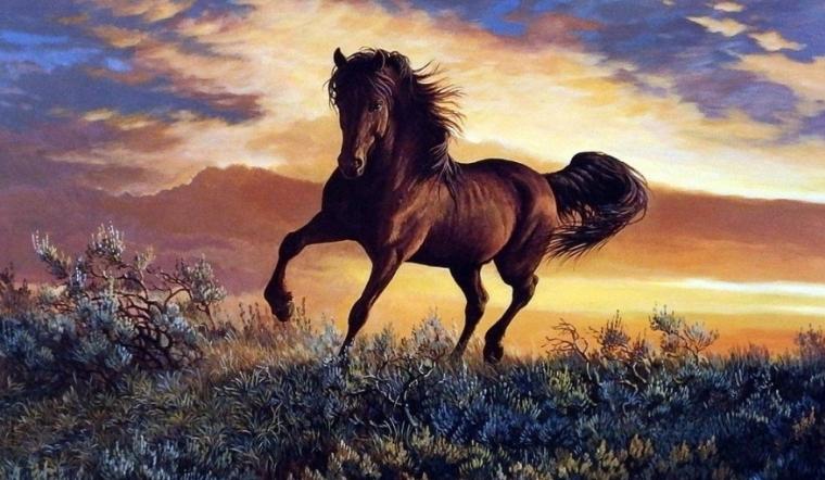 9.10-9.20, tài lộc như cầu vồng, sao may mắn chiếu sáng, tài lộc phát đạt, 3 cung hoàng đạo đều vui vẻ. - Ảnh 2.