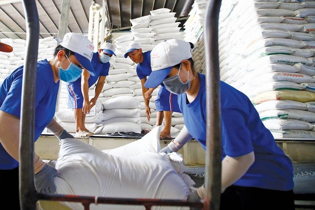 Không phải ăn may, lý do gạo Việt xuất khẩu cao nhất thế giới là gì? - Ảnh 1.