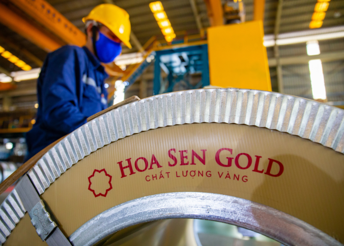 Hoa Sen (HSG) lên kế hoạch IPO một công ty con - Ảnh 1.