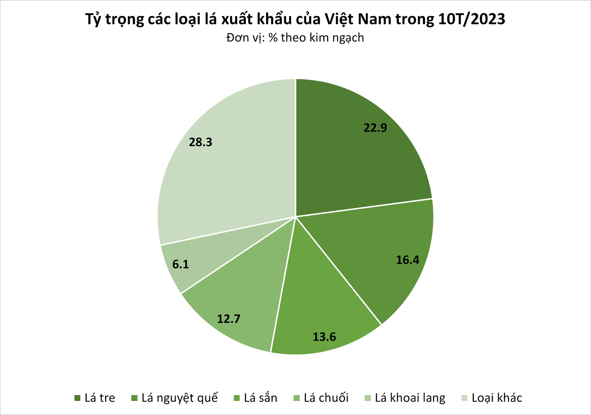 Loại lá bỏ đi không ai lấy sang nước ngoài thành hàng đắt đỏ, đều đặn mang về 2 triệu USD/năm cho Việt Nam - Ảnh 1.