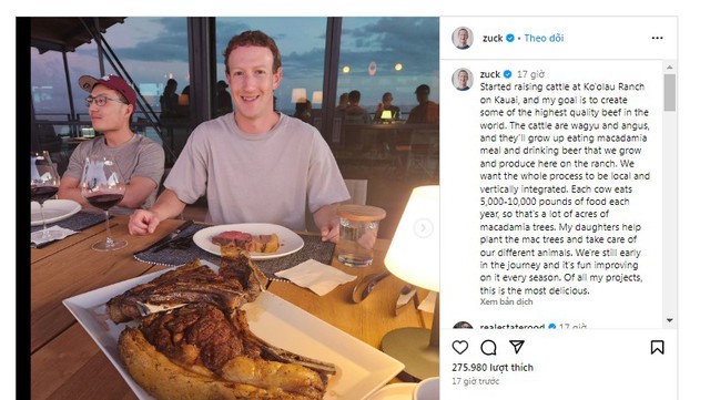 Mark Zuckerberg chuyển hướng làm... nông dân: Sử dụng 100 mẫu đất để nuôi bò Wagyu, cho uống bia và ăn bột macca - Ảnh 2.