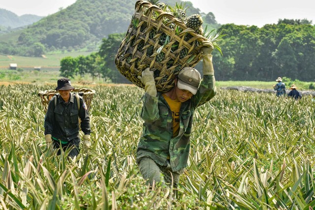 Việt Nam gặt hái được nhiều thành tựu chưa từng có trong lịch sử - Ảnh 2.
