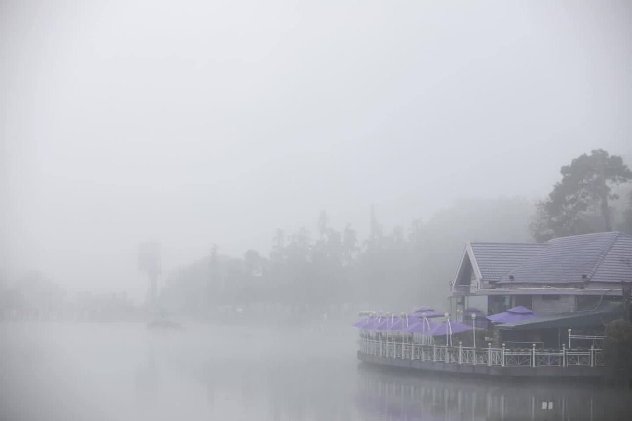 Bất ngờ với “đặc sản” sương mù mờ ảo ở Đà Lạt, dân tình vừa thích thú vừa hoang mang vì chỗ có chỗ không- Ảnh 5.