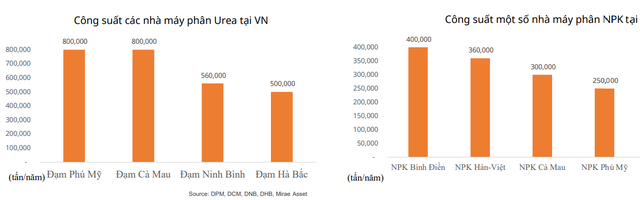 Một mặt hàng quan trọng trên thị trường sẽ tiếp tục tăng giá, Việt Nam có 1.000 doanh nghiệp sản xuất - Ảnh 4.
