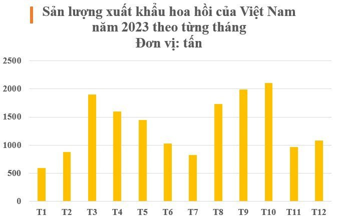 Việt Nam sở hữu 'cánh hoa nghìn tỷ' cực hiếm trên thế giới: Ấn Độ, Trung Quốc đua nhau săn lùng, nước ta cạnh tranh với Trung Quốc thống trị nguồn cung toàn cầu - Ảnh 2.