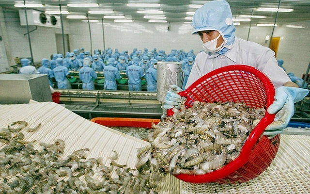 Mặt hàng của Việt Nam được 100 quốc gia nhập về ăn, doanh thu hơn 3 tỷ USD, sản lượng vượt 1 triệu tấn - Ảnh 3.
