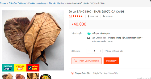 5 loại lá người Việt toàn vứt đi, bất ngờ được rao bán cực đắt trên sàn TMĐT: Lá ổi 90 nghìn đồng/kg, combo 5 lá chuối giá hơn 1 triệu cũng không có để mua - Ảnh 2.