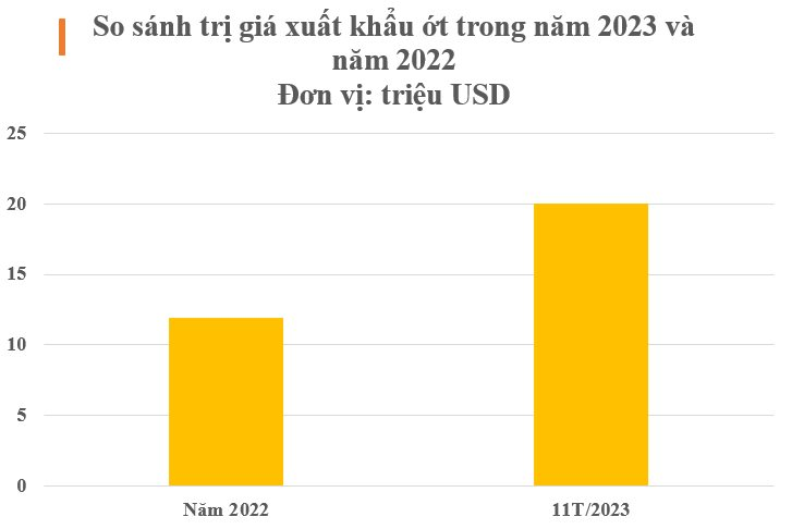 Loại quả ‘một vốn mười lời’ của Việt Nam được Trung Quốc, Lào ráo riết tìm mua: Thu tiền tỷ trong năm 2023, nước ta nắm sản lượng hàng trăm nghìn tấn mỗi năm - Ảnh 2.