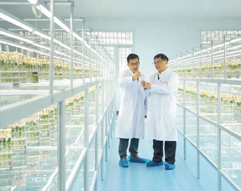 Trung Quốc trồng thử giống khoai tây do tàu Thần Châu-16 mang về từ không gian - Ảnh 1.