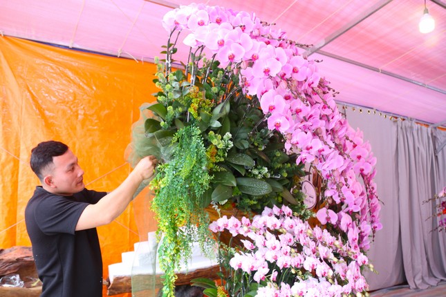 Thợ cắm hoa lan 'chạy sô' dịp Tết, thu nhập tiền triệu mỗi ngày - Ảnh 1.