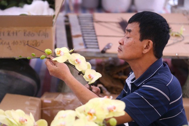 Thợ cắm hoa lan 'chạy sô' dịp Tết, thu nhập tiền triệu mỗi ngày - Ảnh 8.