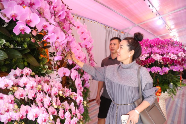 Thợ cắm hoa lan 'chạy sô' dịp Tết, thu nhập tiền triệu mỗi ngày - Ảnh 12.