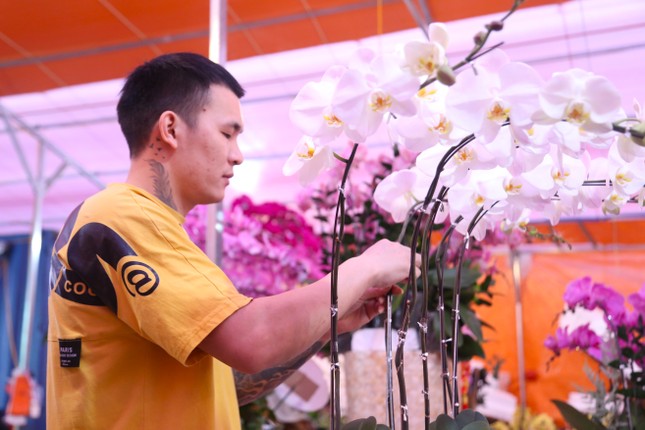 Thợ cắm hoa lan 'chạy sô' dịp Tết, thu nhập tiền triệu mỗi ngày - Ảnh 4.