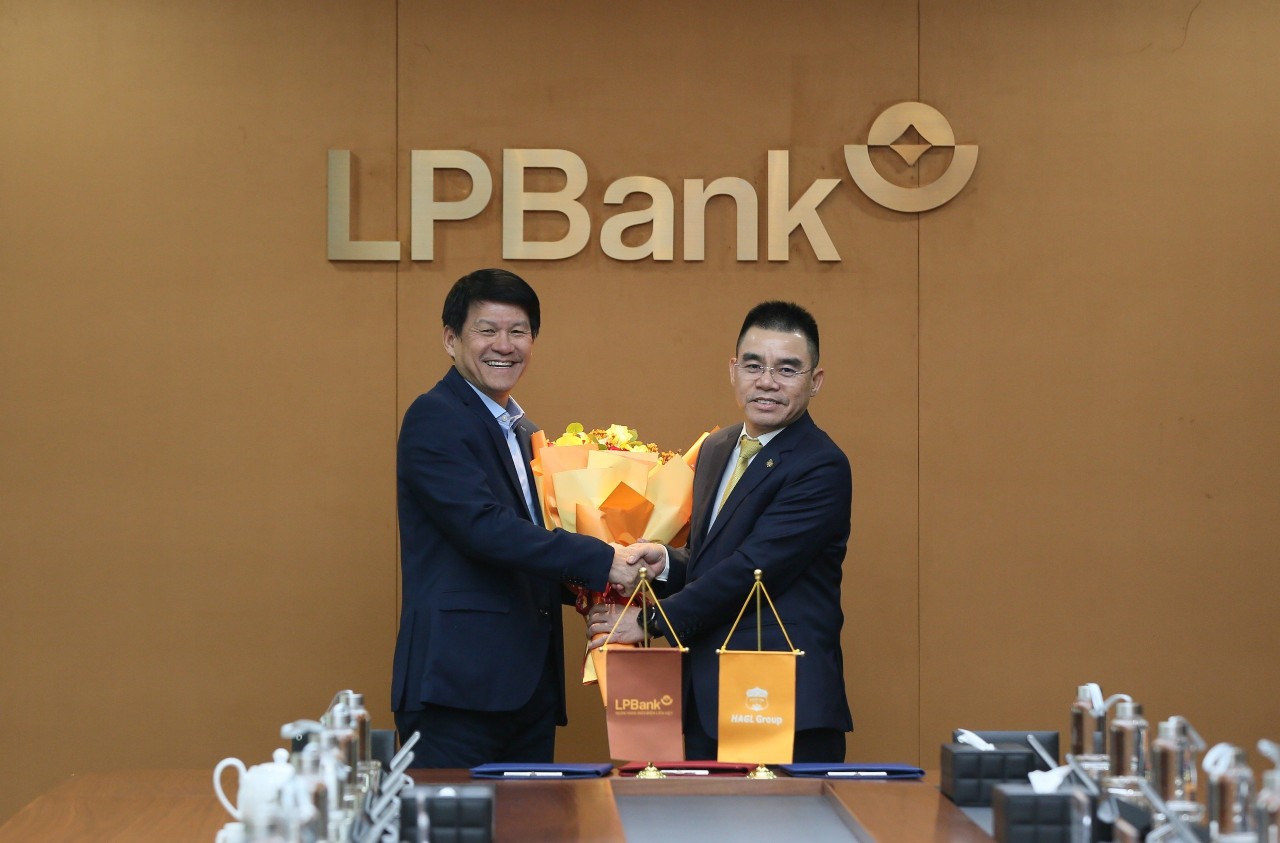 CLB Bóng đá LPBank Hoàng Anh Gia Lai bổ nhiệm ông Vũ Tiến Thành làm HLV trưởng - Ảnh 1.