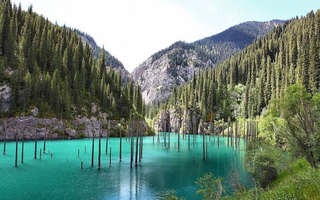 Bí ẩn về khu rừng dưới nước tại hồ Kaindy của Kazakhstan - Ảnh 4.