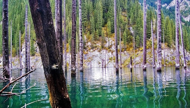 Bí ẩn về khu rừng dưới nước tại hồ Kaindy của Kazakhstan - Ảnh 6.