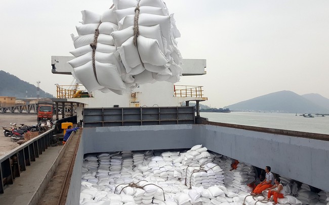 Xuất khẩu gạo có thể mang về hơn 5 tỷ USD - Ảnh 1.