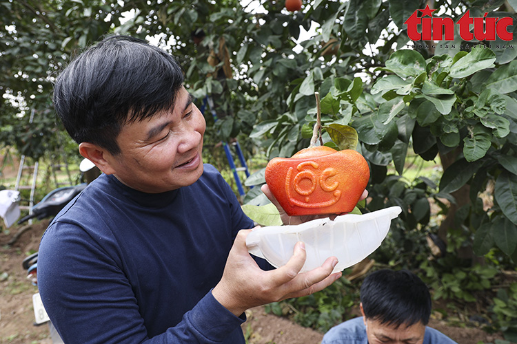 Bưởi đỏ 'tiến vua' đúc chữ tài - lộc không còn hàng để bán - Ảnh 11.