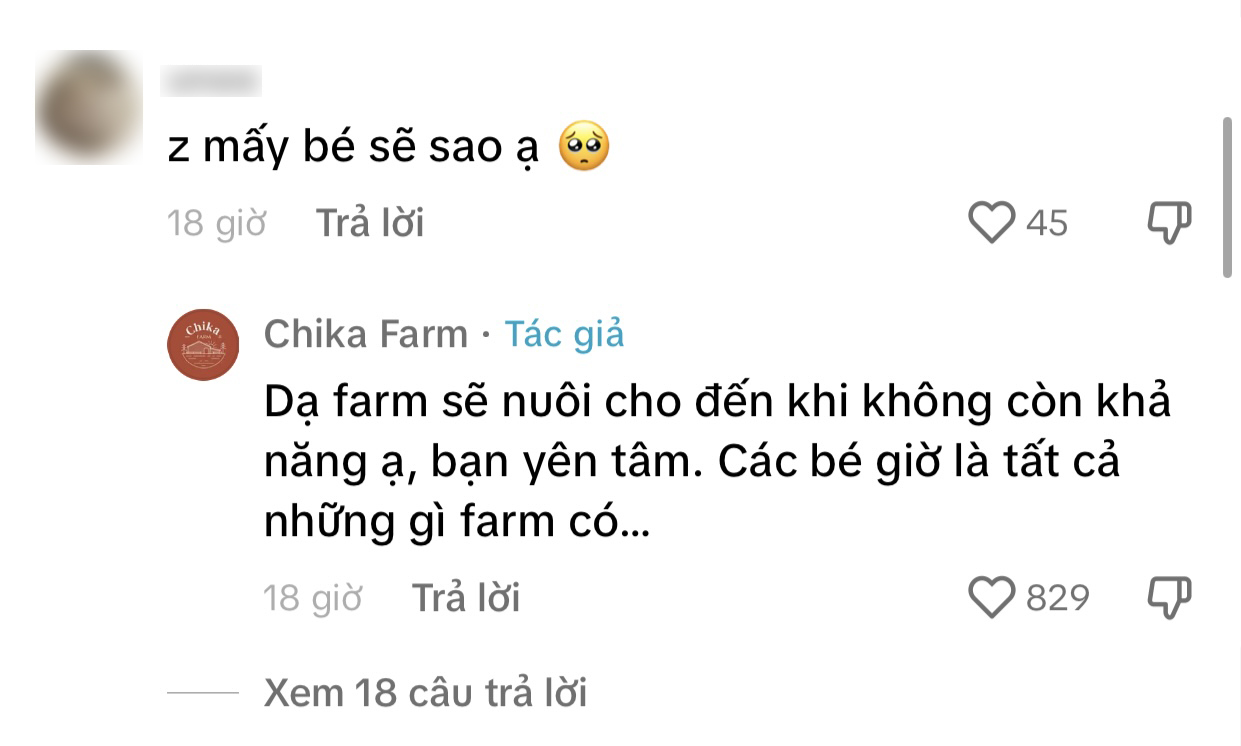 Chika Farm tiết lộ &quot;số phận&quot; vườn thú sau khi đóng cửa, nhiều dân mạng vẫn hi vọng sẽ mở trở lại- Ảnh 2.