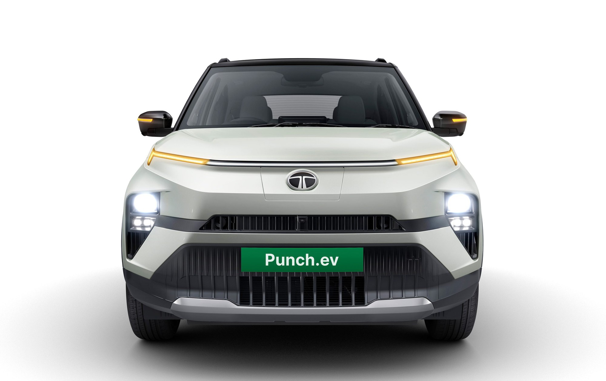 punchev-front-scaled-17057334802841306953499-1705815142636-1705815142873253462498.jpg