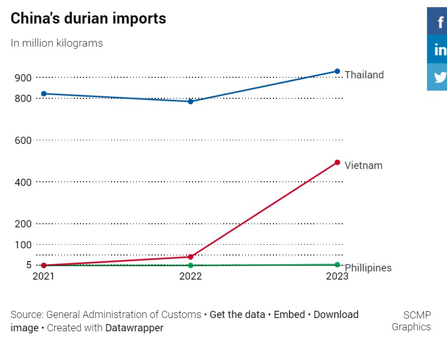 'Vua các loại trái cây' của Việt Nam xưng vương ở Trung Quốc: người dân trở thành tín đồ, buộc Thái Lan nhường thị phần trong 'miếng bánh' khổng lồ - Ảnh 2.
