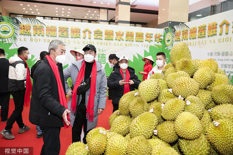 Thị trường 'trái cây vua' tại Trung Quốc: Khởi đầu từ số 0, Việt Nam giành thị phần từ tay Thái Lan- Ảnh 1.